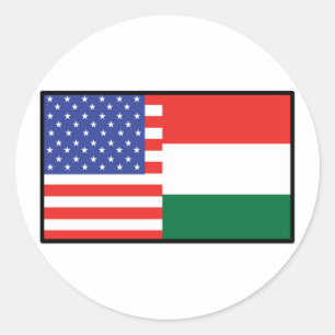 Amerika Hongarije Ronde Sticker