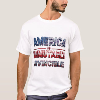 AMERIKA IS ONWRIKBAAR T-SHIRT
