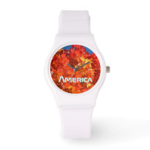 Amerika Kijkt Oranje Rood Geel Herfstbladeren