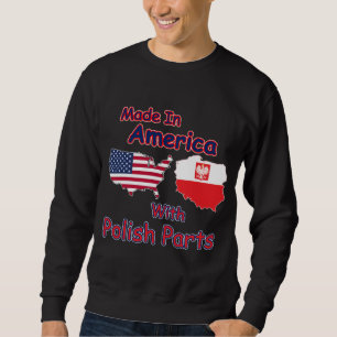 Amerika met Poolse delen Trui