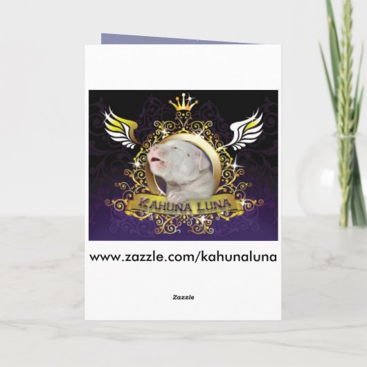 Amerika Mooi Kaart (Achterkant)