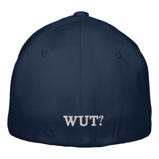 Amerika opnieuw laten glijden (geborduurd) geborduurde pet (Achterkant)