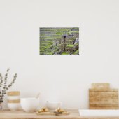 Amerika, Peru, Machu PIcchu. De oude 2 Poster (Keuken)