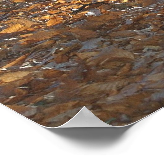 Amerika Poster (Hoek)