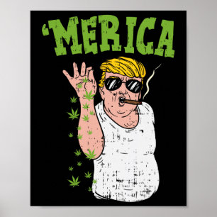 Amerika Trump Bae Roken Wiet Grappig Stoner Gift Poster