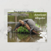 Amerikaans Alligator - Briefkaart leren (Voorkant / Achterkant)