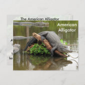 Amerikaans Alligator - Briefkaart leren (Voorkant / Achterkant)