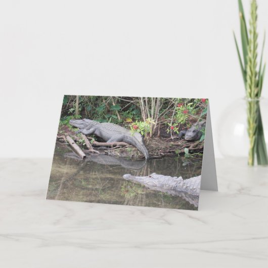Amerikaans Alligator-Wenskaart Feestdagen Kaart (Voorkant)