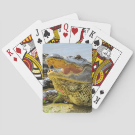 Amerikaans alligatorportret - gezicht speelkaarten