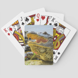 Amerikaans alligatorportret - gezicht speelkaarten