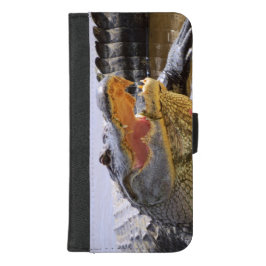 Amerikaans alligatorportret