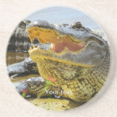 Amerikaans alligatorportret zandsteen onderzetter (Voorkant)