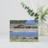 Amerikaans Alligators Briefkaart (Staand voorkant)