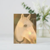 Amerikaans Andalusisch Briefkaart (Staand voorkant)