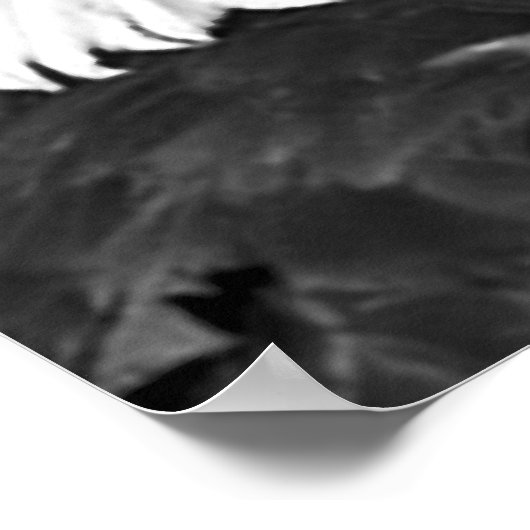 Amerikaans Bald Eagle Motivatie Leadership Poster (Hoek)