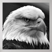 Amerikaans Bald Eagle Motivatie Leadership Poster (Voorkant)