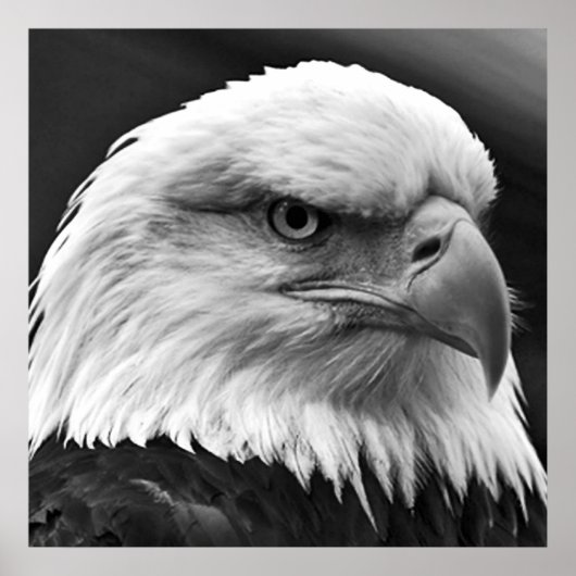 Amerikaans Bald Eagle Motivatie Leadership Poster (Voorkant)