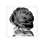  Amerikaans Beauty Roos Stempel (Afrduk)