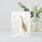 Amerikaans Bittern Briefkaart (Staand voorkant)