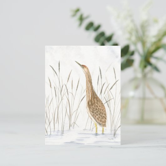 Amerikaans Bittern Briefkaart (Staand voorkant)