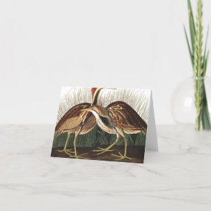 Amerikaans Bittern van John James Audubon Bedankkaart