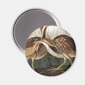 Amerikaans Bittern van John James Audubon Magneet (Voorkant / Achterkant)