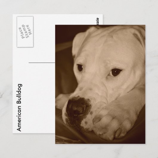 Amerikaans Briefkaart (Voorkant / Achterkant)