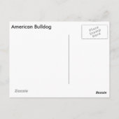 Amerikaans Briefkaart (Achterkant)