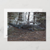 Amerikaans Briefkaart (Voorkant / Achterkant)