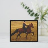 Amerikaans Briefkaart (Staand voorkant)