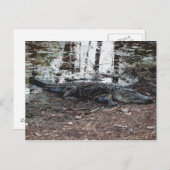 Amerikaans Briefkaart (Voorkant / Achterkant)