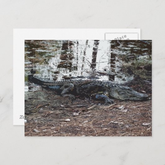 Amerikaans Briefkaart (Voorkant / Achterkant)