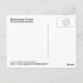 Amerikaans Briefkaart (Achterkant)