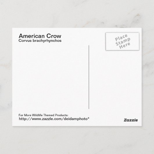 Amerikaans Briefkaart (Achterkant)