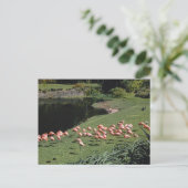  Amerikaans Briefkaart (Staand voorkant)