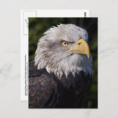 Amerikaans Briefkaart (Voorkant / Achterkant)