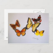Amerikaans Briefkaart Butterflies (Voorkant / Achterkant)