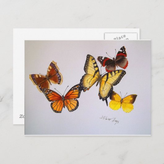 Amerikaans Briefkaart Butterflies (Voorkant / Achterkant)
