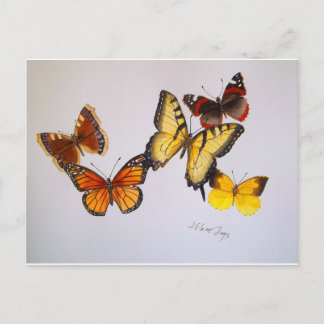 Amerikaans Briefkaart Butterflies