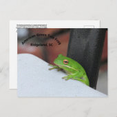 Amerikaans Briefkaart met groene Treefrog (Voorkant / Achterkant)