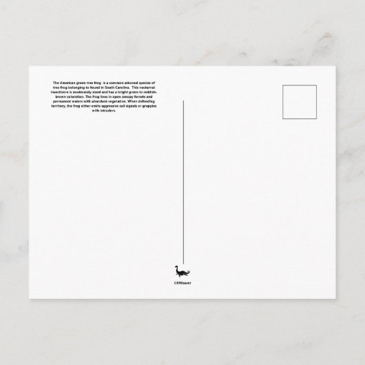 Amerikaans Briefkaart met groene Treefrog (Achterkant)