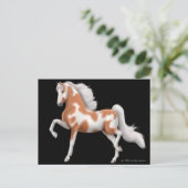 Amerikaans Briefkaart van de Pinto (Staand voorkant)