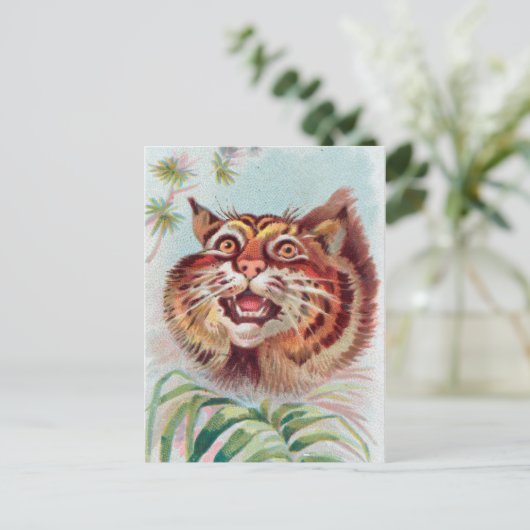  Amerikaans Briefkaart van wilde katten (Staand voorkant)