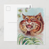  Amerikaans Briefkaart van wilde katten (Voorkant / Achterkant)