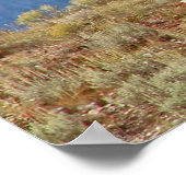 Amerikaans Buffalo High in het Tetons-Poster Poster (Hoek)