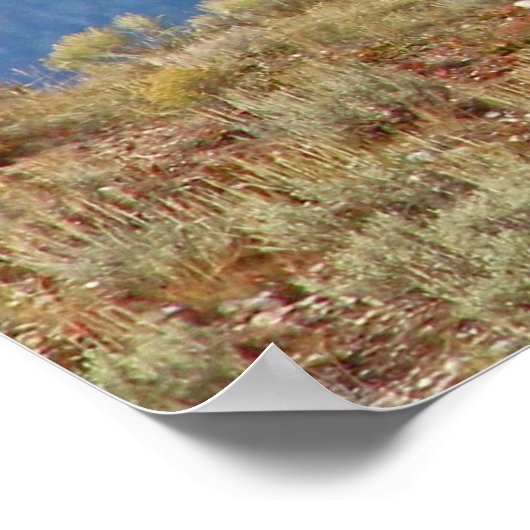 Amerikaans Buffalo High in het Tetons-Poster Poster (Hoek)