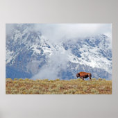 Amerikaans Buffalo High in het Tetons-Poster Poster (Voorkant)