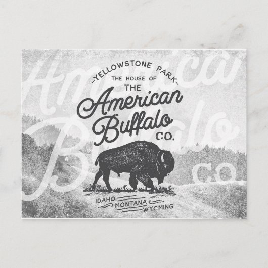  Amerikaans Buffalo Montana Travel Briefkaart (Voorkant)