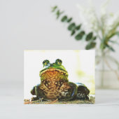 Amerikaans Bullfrog Posing Briefkaart (Staand voorkant)