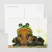 Amerikaans Bullfrog Posing Briefkaart (Voorkant / Achterkant)